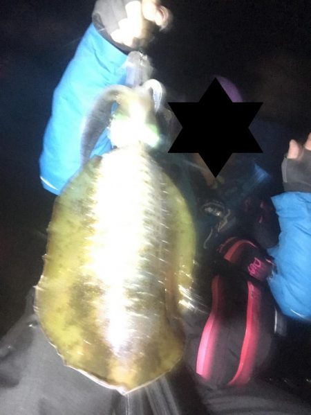 今年激シブの南紀でも場所選べばなんとかエギングでアオリイカ釣れる